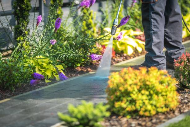 Best Dumpster Area Cleaning  in Congers, NY