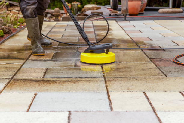 Animal Enclosure Cleaning in Congers, NY
